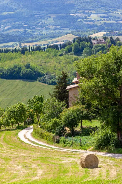 Obraz Scenerii Marche Włochy Beli Słomy Polu — Zdjęcie stockowe