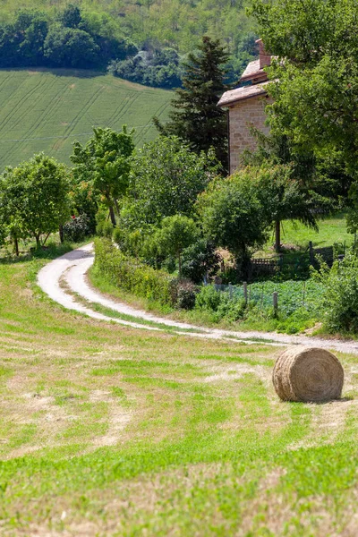 Obraz Scenérie Marche Italy Slamným Balíkem Poli — Stock fotografie