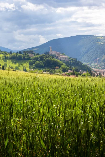 Una Imagen Camerino Italia Marcas Sobre Campos Coloridos — Foto de Stock