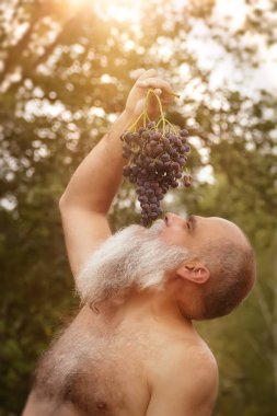 Bacchus açık havada üzüm yiyor
