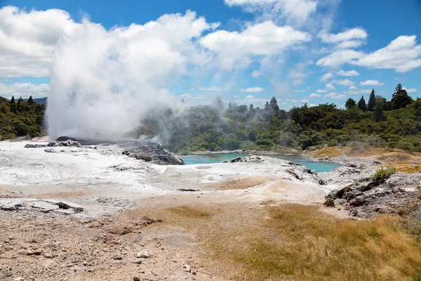 Pohled Gejzír Novém Zélandě Rotorua — Stock fotografie