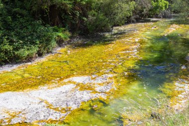 waimangu volkanik aktiviteler