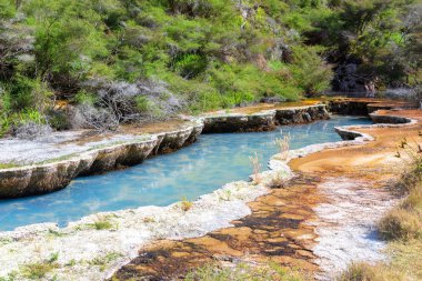 waimangu volkanik aktiviteler