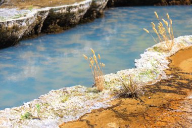 waimangu volkanik aktiviteler