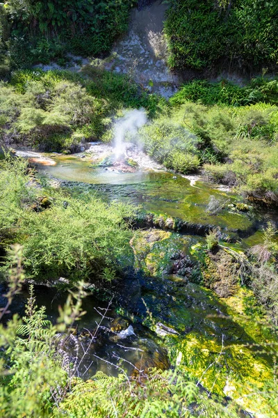 Volcanic activities at waimangu — Stock Photo, Image