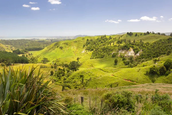 Landschap Matamata — Stockfoto