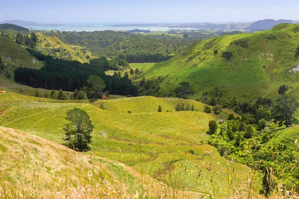 Paisaje Matamata — Foto de Stock