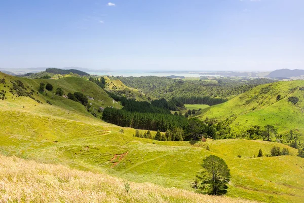 Landscape Matamata — Stock Photo, Image