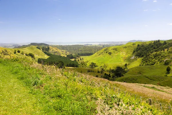 Landschap Matamata — Stockfoto