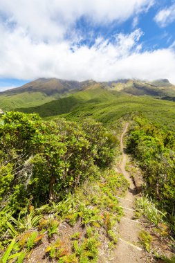 bulutlarla kaplı volkan Taranaki görünümü, Yeni Zelanda 