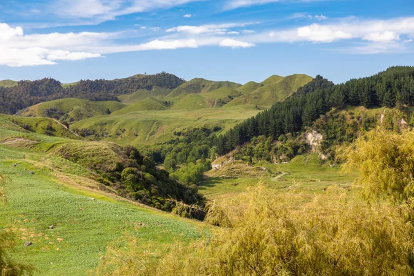 Typical Rural Landscape New Zealand — Stock Photo, Image