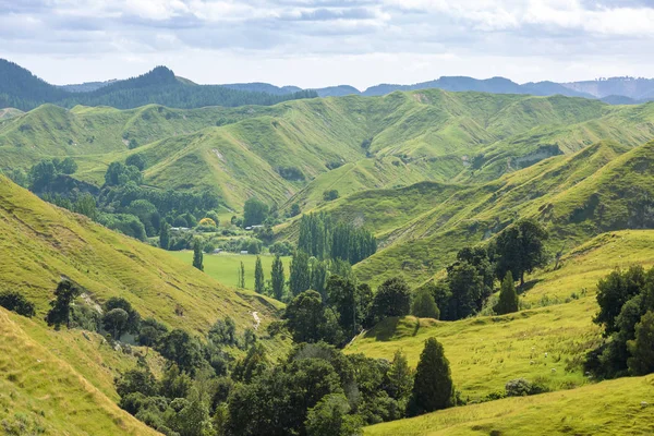 Paisagem Rural Típica Nova Zelândia — Fotografia de Stock
