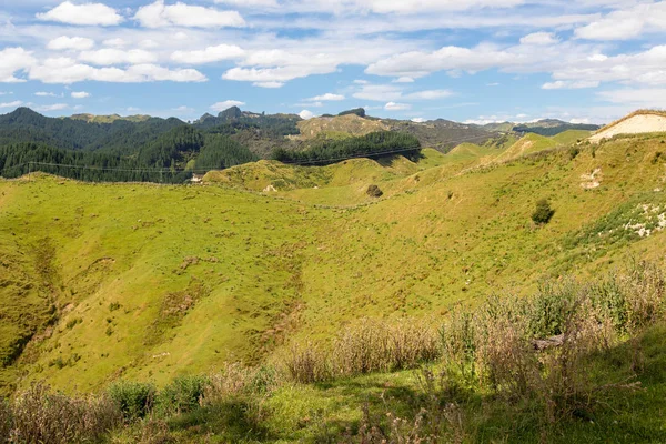 Paesaggio Rurale Tipico Della Nuova Zelanda — Foto Stock