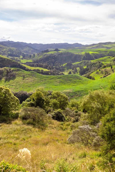 Typical Rural Landscape New Zealand — Stock Photo, Image