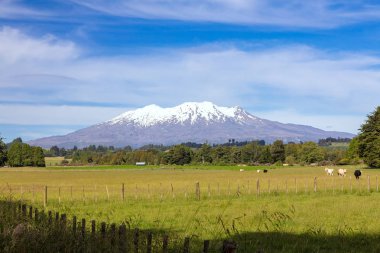 Yeni Zelanda'da Mount Ruapehu yanardağı görünümü