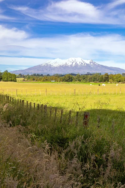 Vista Del Volcán Monte Ruapehu Nueva Zelanda —  Fotos de Stock