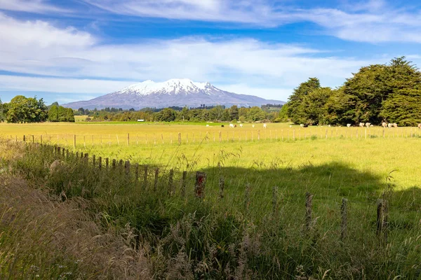 Vista Del Volcán Monte Ruapehu Nueva Zelanda — Foto de Stock