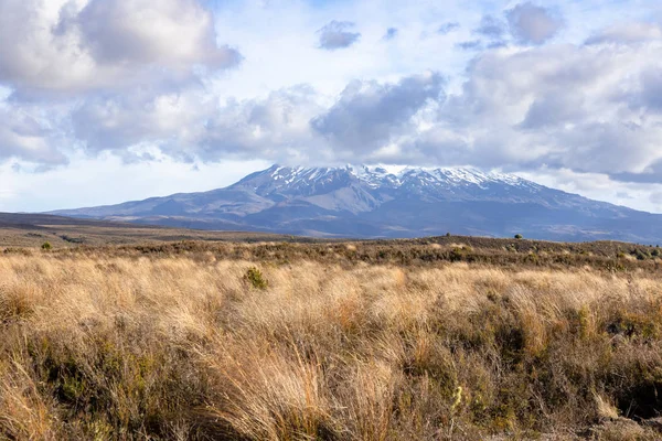 Вид Вулкан Руапеху Новой Зеландии — стоковое фото