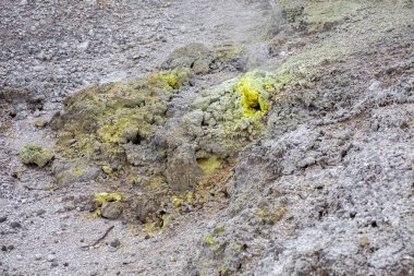 Yeni Zelanda Rotorua jeotermal aktivite görünümü