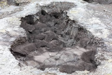 Yeni Zelanda Rotorua jeotermal aktivite görünümü