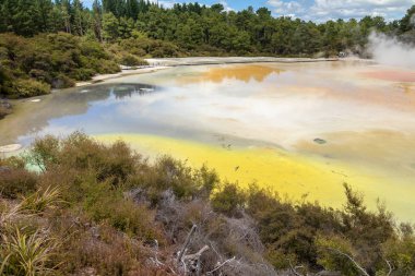 Yeni Zelanda Rotorua jeotermal aktivite görünümü