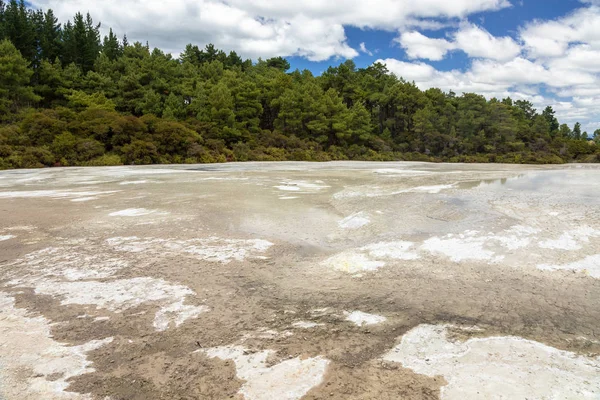 Vista Atividade Geotérmica Rotorua Nova Zelândia — Fotografia de Stock