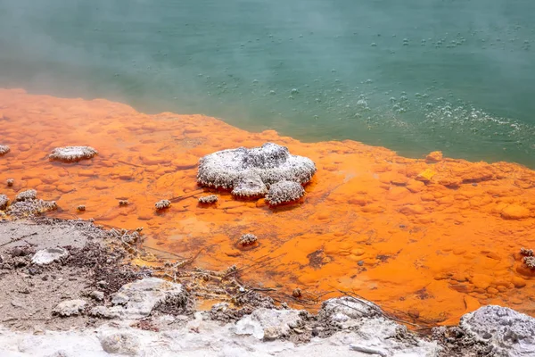 Vista Del Lago Espumoso Caliente Nueva Zelanda —  Fotos de Stock