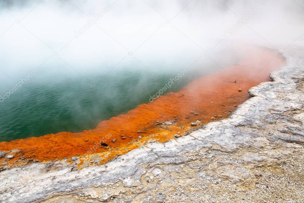 view of hot sparkling lake in New Zealand