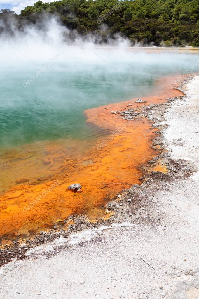 view of hot sparkling lake in New Zealand