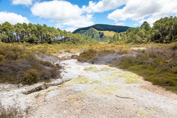 Uitzicht Geothermische Activiteit Rotorua Nieuw Zeeland — Stockfoto