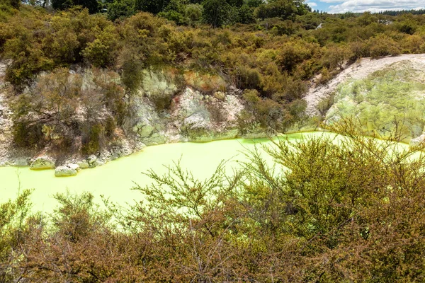 Atividade Geotérmica Rotorua Nova Zelândia — Fotografia de Stock