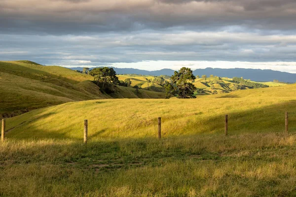 Typical Rural Landscape New Zealand — Stock Photo, Image