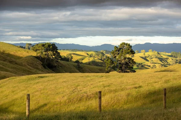 Typical Rural Landscape New Zealand — Stock Photo, Image