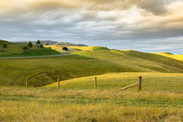 Typická Venkovská Krajina Novém Zélandu — Stock fotografie
