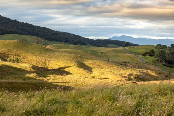新西兰典型的乡村景观 — 图库照片