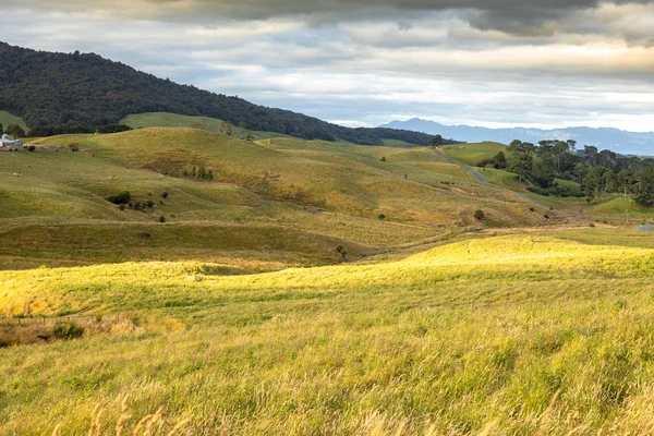 Typical Rural Landscape New Zealand — Stock Photo, Image