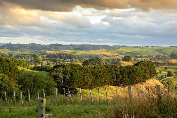 Παραδοσιακό Αγροτικό Τοπίο Στη Νέα Ζηλανδία — Φωτογραφία Αρχείου