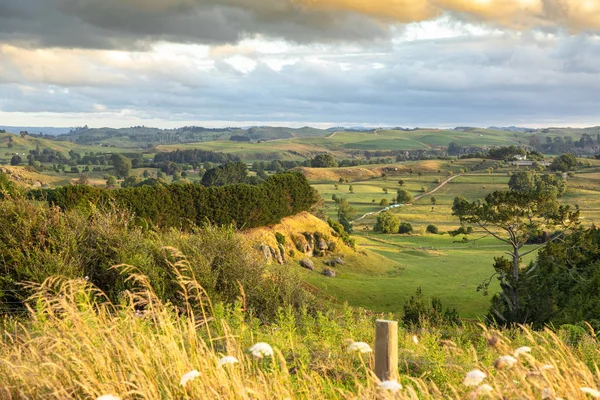 Typisch Landelijk Landschap Nieuw Zeeland — Stockfoto