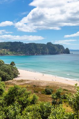 Yeni Zelanda'da boş plaj görünümü 
