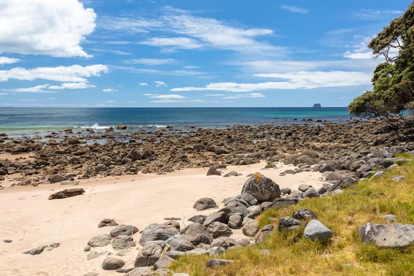 Vista Della Spiaggia Vuota Nuova Zelanda — Foto Stock