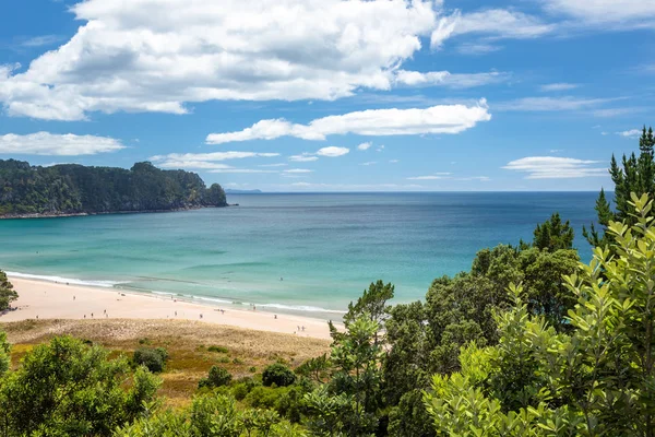 Pohled Prázdnou Pláž Novém Zélandu — Stock fotografie