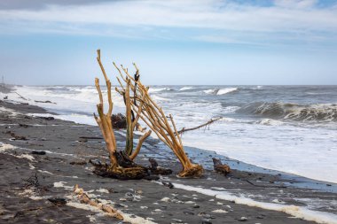 yeşim plajı Hokitika görünümü, Yeni Zelanda