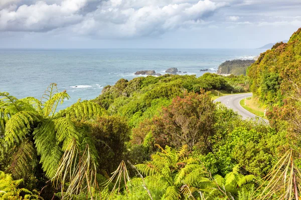 ニュージーランド南部の緑豊かな海岸 — ストック写真