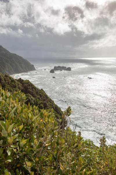 Över Grov Kusten Nya Zeeland Syd — Stockfoto