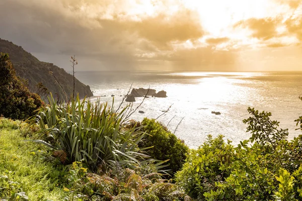 Vista Costa Agitada Sur Nueva Zelanda —  Fotos de Stock
