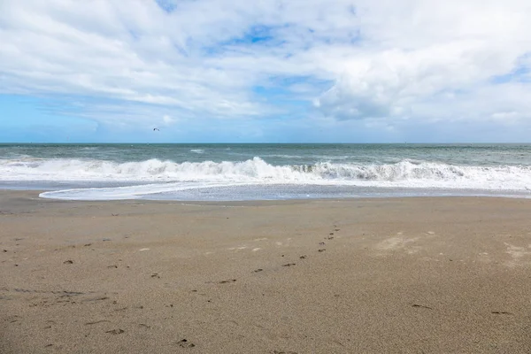 Вид Песчаный Пляж Юго Западе Новой Зеландии — стоковое фото