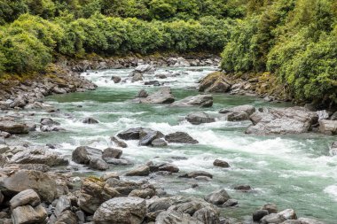 Landsborough Valley'deki Haast Nehri görünümü, Yeni Zelanda