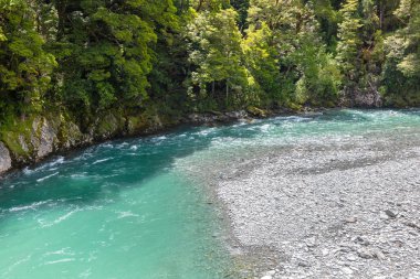 Landsborough Valley'deki Haast Nehri görünümü, Yeni Zelanda