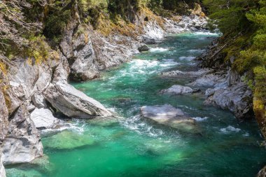 Landsborough Valley'deki Haast Nehri görünümü, Yeni Zelanda