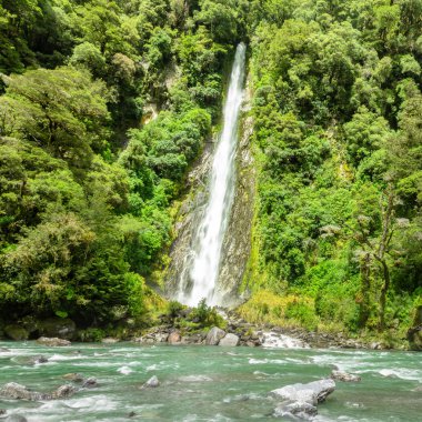 Thunder Creek Falls görünümü, Yeni Zelanda